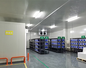 建一個專業(yè)診斷試劑冷庫造價費(fèi)用成本多少錢?