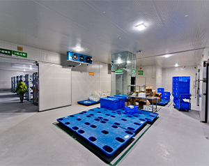 血制品公司建造80立方-25~-30℃血漿冷庫的方案報價？
