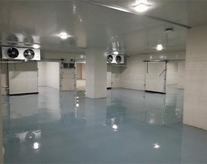 血制品公司建造80立方-25~-30℃血漿冷庫的方案報價？