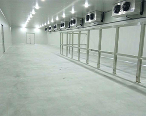 水產(chǎn)品市場建造3000噸水產(chǎn)冷凍庫的方案以及報價？