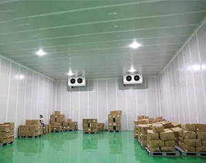 4500㎡藥品冷鏈物流冷庫(kù)設(shè)計(jì)方案，冷庫(kù)預(yù)算多少錢(qián)
