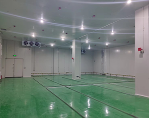 危險化學品專用冷庫建設(shè)標準是什么