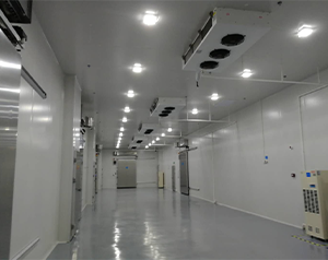 醫(yī)藥冷庫建造這些您了解嗎？藥品冷庫建設(shè)多少錢