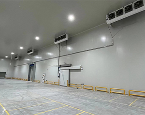 建造1000立方米種子研究中心冷庫造價(jià)要多少錢