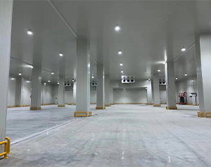 你知道未來哪種冷庫更有市場潛力，有“錢”景？