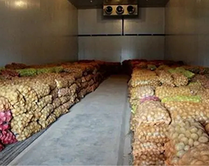 進(jìn)口外貿(mào)食品冷庫（低溫倉儲）定制價格每平米多少錢？
