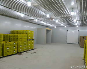 建設(shè)一個150平米氣調(diào)庫，大概需要多少資金