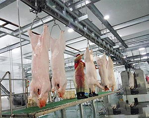 豬肉加工廠冷庫如何進(jìn)行設(shè)計(jì)建造？