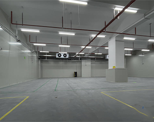建200噸氣調(diào)庫多少錢？存放葡萄、獼猴桃