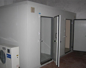 湖北大中型肉品冷庫建造需要什么條件？style=