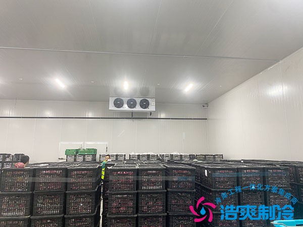 100立方冷凍庫造價預算需要多少錢？