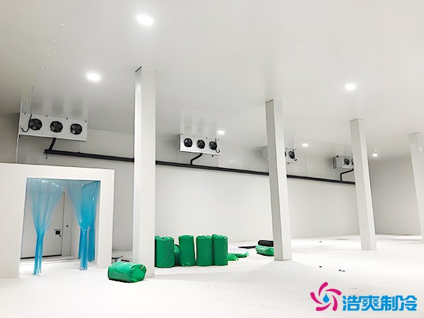 建造萬噸級大型冷庫造價大概多少錢？萬噸冷庫造價影響因素