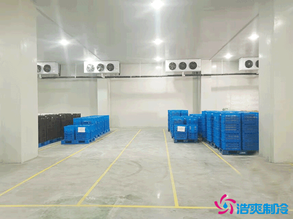建造萬噸級大型冷庫造價大概多少錢？萬噸冷庫造價影響因素