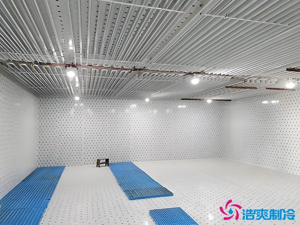 建個(gè)冷凍庫(kù)要多少錢？冷凍庫(kù)每平方米的造價(jià)標(biāo)準(zhǔn)