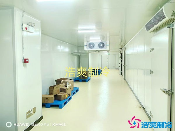 儲存疫苗的企業(yè)獨立冷庫有幾個？生物疫苗冷庫造價