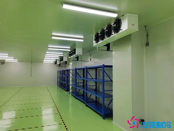儲存疫苗的企業(yè)獨立冷庫有幾個？生物疫苗冷庫造價