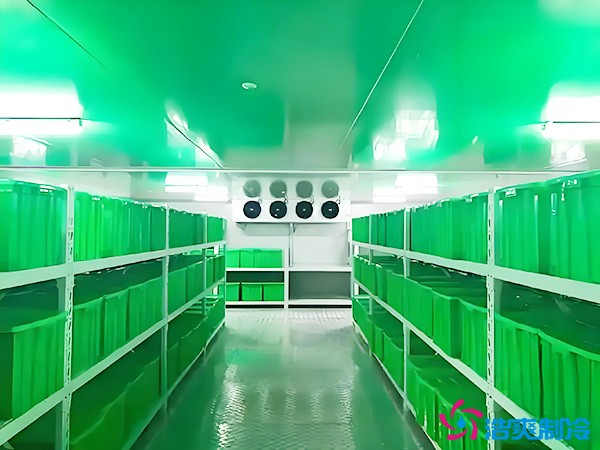 藥品批發(fā)企業(yè)冷藏庫平方面積要求多少？1000平藥企冷庫造價(jià)