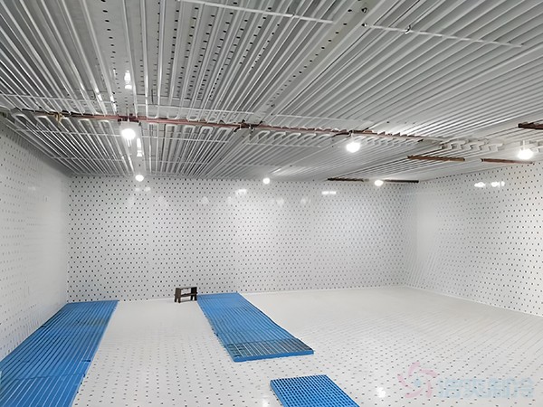 箭齒鰈魚片冷藏庫儲藏條件，箭齒鰈魚冷庫溫度要求