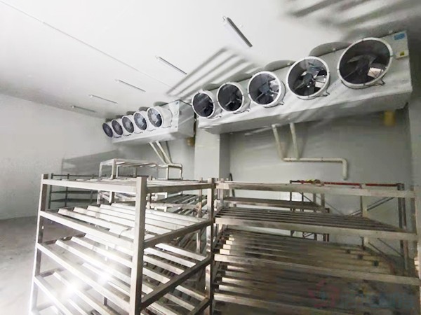 建造1000立方冷凍庫配多大壓縮機？造價預(yù)算多少錢？