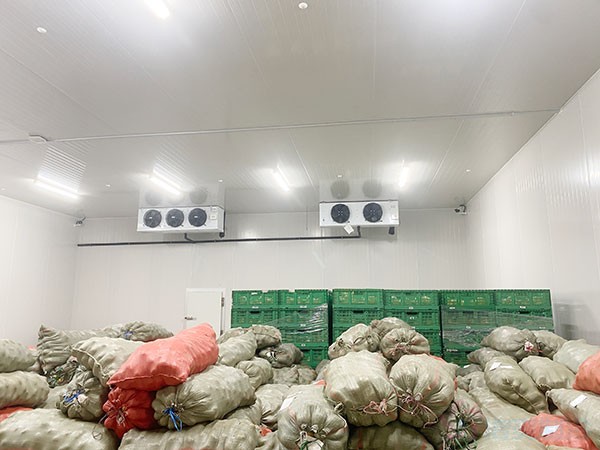 影響蔬菜保鮮冷庫(kù)建造價(jià)格的因素有哪些？