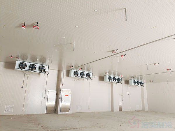 建造一個(gè)?；贩辣ǖ蜏貍}(cāng)庫(kù)）冷庫(kù)造價(jià)多少錢
