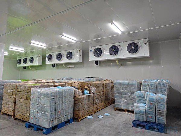 大型工業(yè)藥品冷庫建設(shè)安裝價格大概多少錢？