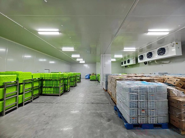 大型工業(yè)藥品冷庫建設(shè)安裝價格大概多少錢？