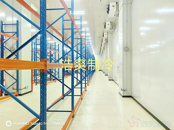 河北2-8℃醫(yī)藥標(biāo)準(zhǔn)冷庫(kù)設(shè)計(jì)多少錢(qián)？
